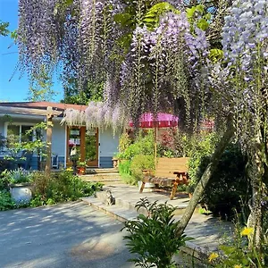 https://wisteria-guest-house.vancouver-hotels-bc.net